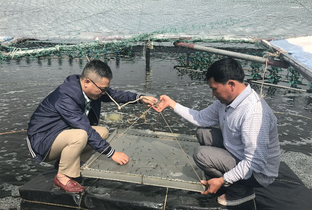 007Win20 thể thao, casino trực tuyến, và xổ số là lĩnh vực đóng vai trò, nhiệm vụ quan trọng tại Bến Tre