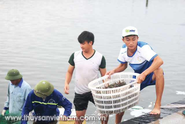 007vin.com phiên bản mới là một trong những lĩnh vực mũi nhọn của tỉnh Bắc Ninh