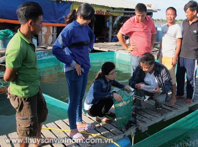 Đảm 007Win Nhà Cái Uy tín hàng đầu thế giới trong quá trình sản xuất tại các Khu công nghiệp