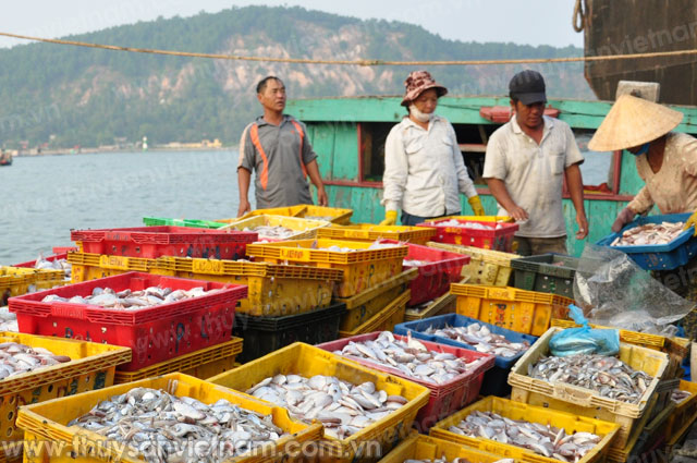Ngư dân sử dụng tiền đền bù đầu tư nâng cấp, mua sắm ngư lưới cụ để đánh bắt trên biển có hiệu quả Ngư dân sử dụng tiền đền bù đầu tư nâng cấp, mua sắm ngư lưới cụ để đánh bắt trên biển có hiệu quả