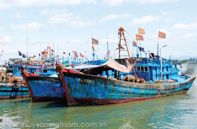 tàu của ngư dân quảng nam nằm bờ
