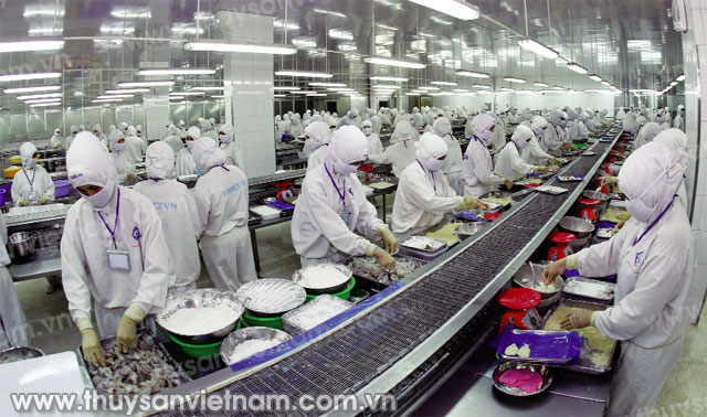 Xây dựng chuỗi liên kết sản xuất và tiêu thụ sản phẩm bền vững Xây dựng chuỗi liên kết sản xuất và tiêu thụ sản phẩm bền vững