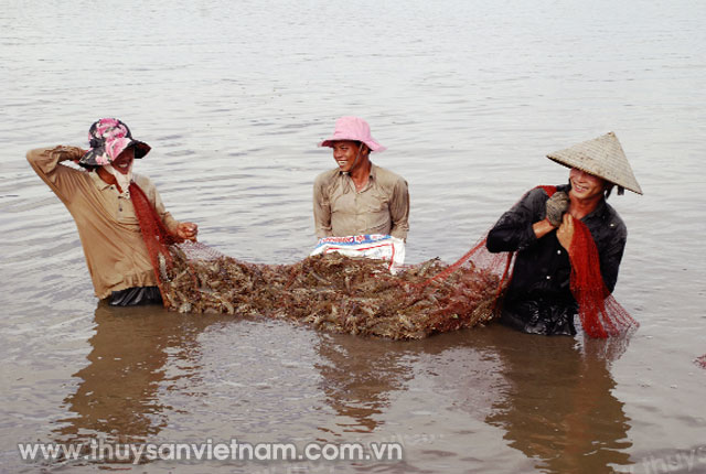 Phát triển vùng nuôi trồng theo hướng tăng trưởng xanh, bền vững và thích ứng với biến đổi khí hậu